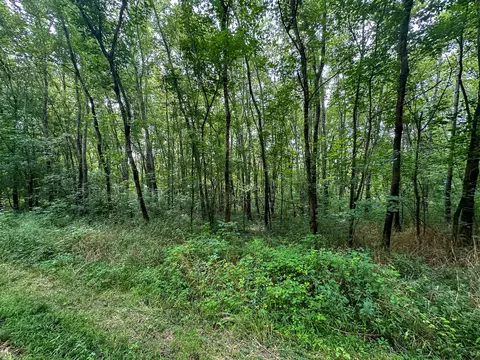 Other - 0 Abners Mill Rd, Ewing, KY 41039 photo 8 of 50