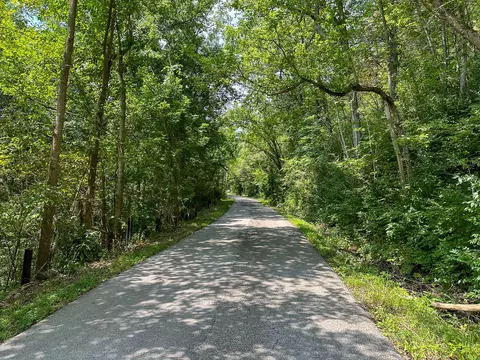 Other - 0 Abners Mill Rd, Ewing, KY 41039 photo 33 of 50
