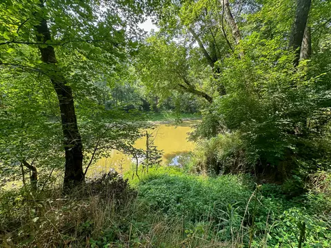 View/Area - 0 Abners Mill Rd, Ewing, KY 41039 photo 48 of 63