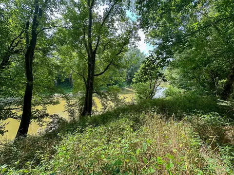 View/Area - 0 Abners Mill Rd, Ewing, KY 41039 photo 51 of 63