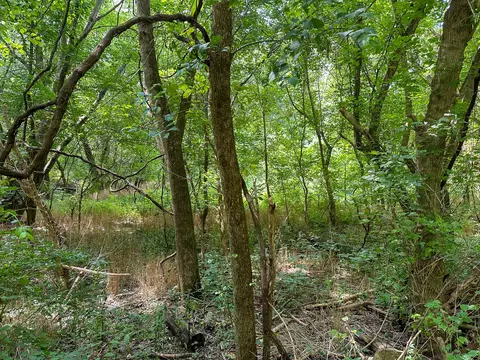 Other - 0 Abners Mill Rd, Ewing, KY 41039 photo 36 of 50