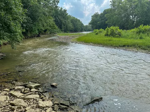 View/Area - 0 Abners Mill Rd, Ewing, KY 41039 photo 57 of 63