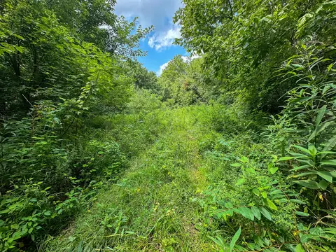 Other - 0 Abners Mill Rd, Ewing, KY 41039 photo 16 of 50