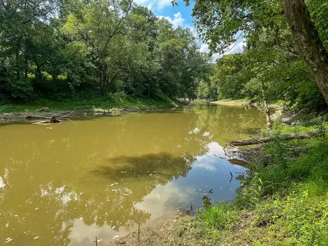 View/Area - 0 Abners Mill Rd, Ewing, KY 41039 photo 42 of 63