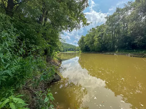 View/Area - 0 Abners Mill Rd, Ewing, KY 41039 photo 44 of 63