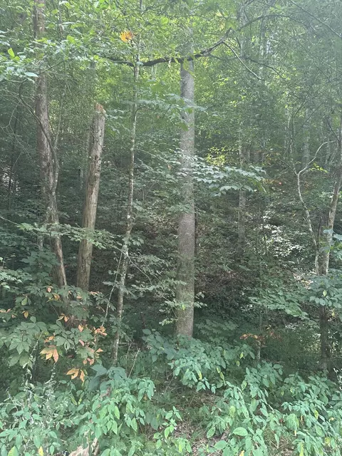 9999 May Fork Rd, Manchester, KY 40962