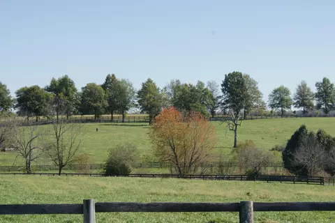 687 Carrick Pike, Georgetown, KY 40324 photo 6