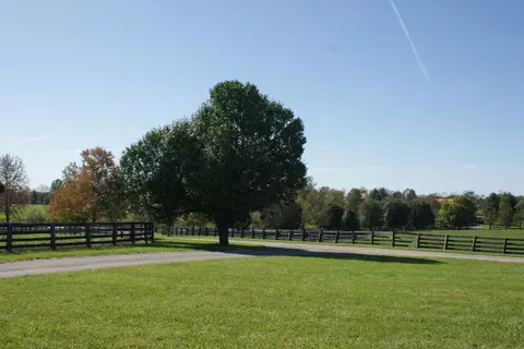 687 Carrick Pike, Georgetown, KY 40324 photo 7