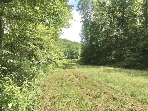 2112 Elmer Stone Rd, Olive Hill, KY 41164