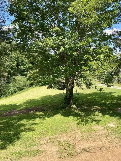 132 Stella Ln, Eubank, KY 42567 photo 6