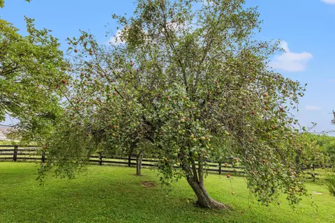 951 Perry Rogers Rd, Lancaster, KY 40444 photo 47