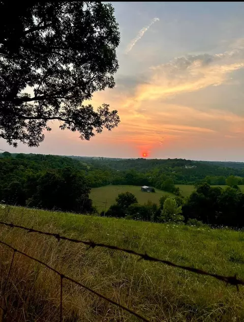1747 Frogtown Rd, Sadieville, KY 40370