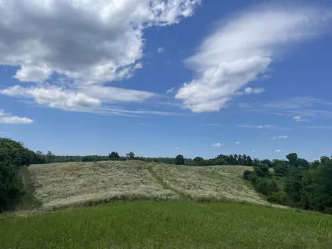 85 Ac Mt Tabor Rd, Ewing, KY 41039