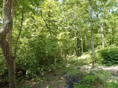 3515 Pilot Rd, Stanton, KY 40380 photo 3