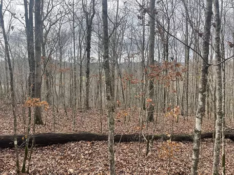 lot41 Paradise Acres, Somerset, KY 42501