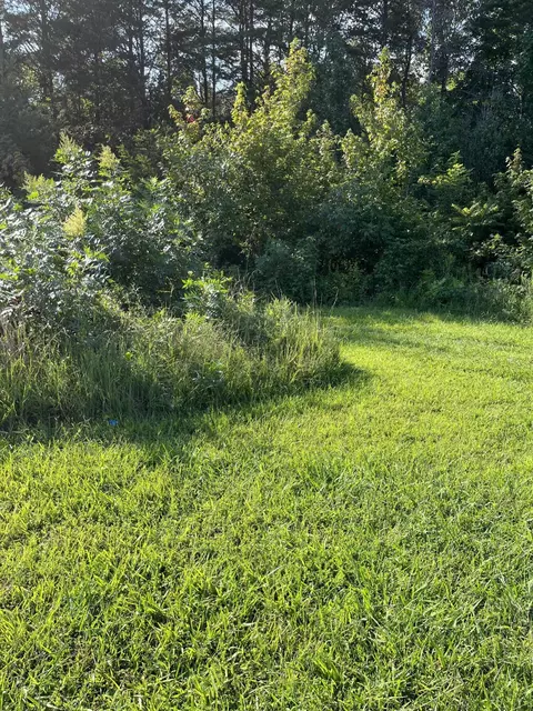 888 Buc Rd, Williamsburg, KY 40769