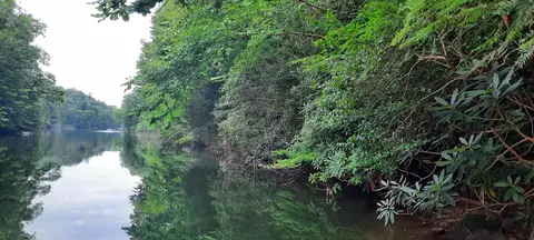 lot55 Odin Dr, London, KY 40741