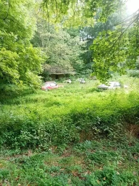 1443 Dry Creek Rd, Clearfield, KY 40313