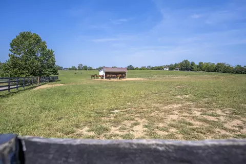 307 Stone Rd, Georgetown, KY 40324 photo 56