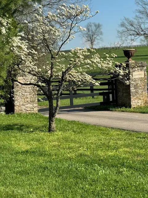 307 Stone Rd, Georgetown, KY 40324 photo 14
