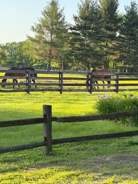 307 Stone Rd, Georgetown, KY 40324 photo 12
