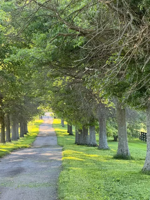 307 Stone Rd, Georgetown, KY 40324 photo 18