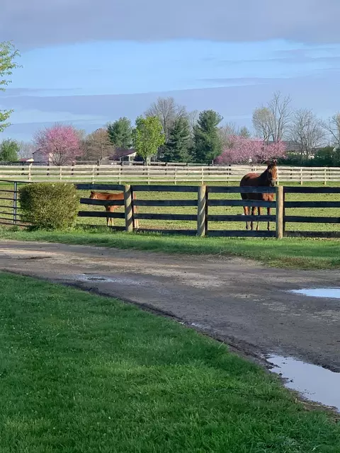 307 Stone Rd, Georgetown, KY 40324 photo 11
