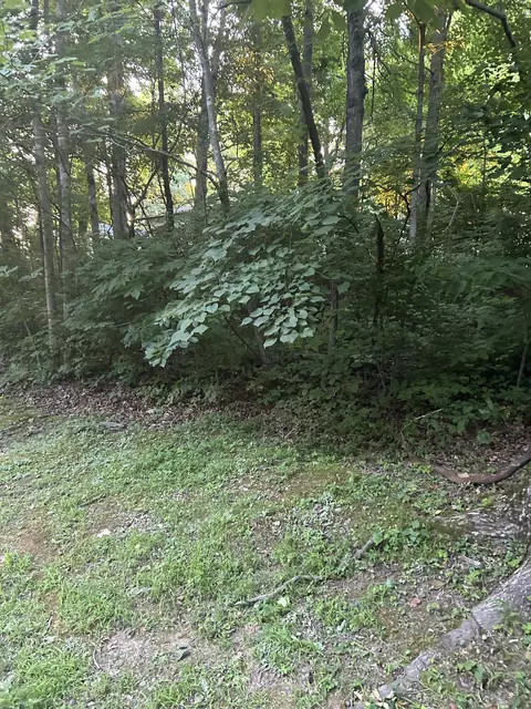 lot Shoreline Dr, Somerset, KY 42503