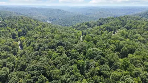 View/Area - 52 Placid Way, Burnside, KY 42519 photo 7 of 23
