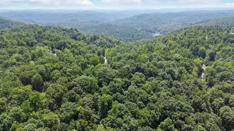 View/Area - 52 Placid Way, Burnside, KY 42519 photo 8 of 23