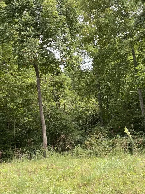 lot D E Greasy Ridge Rd, Stanford, KY 40484