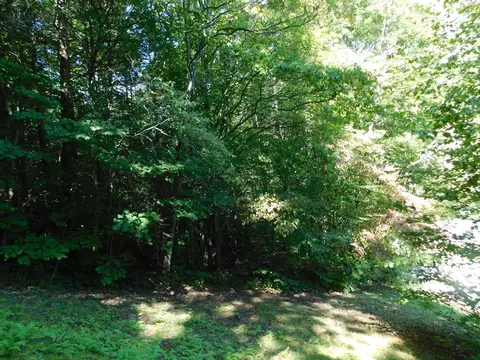 1 Holbert Ln, Smith, KY 40831 photo 6