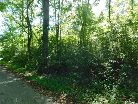1 Holbert Ln, Smith, KY 40831 photo 7