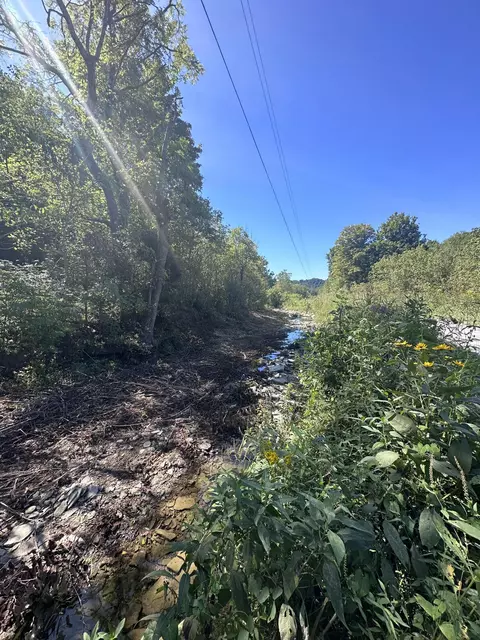 2630 Martins Creek Rd, Liberty, KY 42539