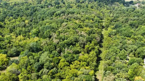 1200 Gaines Rd, Stamping Ground, KY 40379