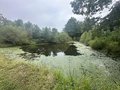 154 Perkins Ln, Pine Knot, KY 42635 photo 3
