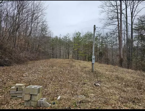 10374 S Wilderness Rd, Livingston, KY 40445