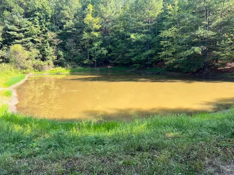 1440 Landsaw Rd, Campton, KY 41301 photo 9