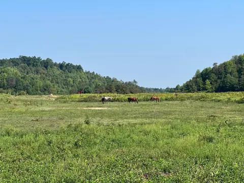 1440 Landsaw Rd, Campton, KY 41301 photo 27
