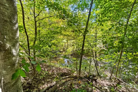 2015 Ellison Pulaski Rd, Eubank, KY 42567 photo 18