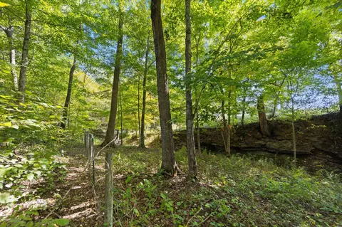 2015 Ellison Pulaski Rd, Eubank, KY 42567 photo 17
