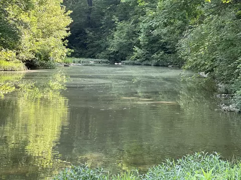 405 Robinson Rd, Cynthiana, KY 41031