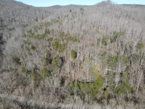 999 Mullins Station Rd, Livingston, KY 40445