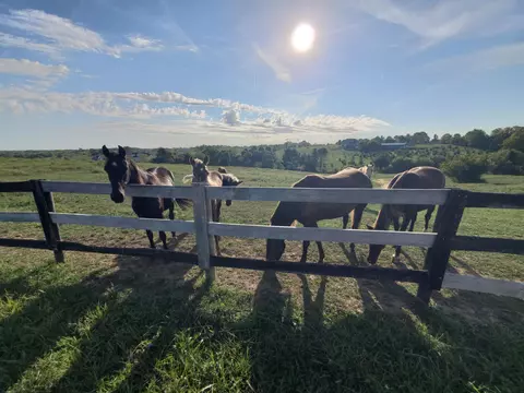 Other - 106 Bob White Path, Georgetown, KY 40324 photo 3 of 33