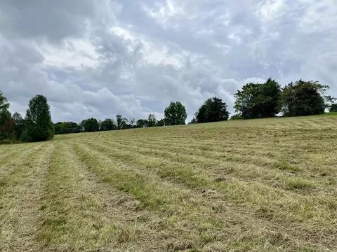 lot5 Smith Ridge Rd, Eubank, KY 42567 photo 10