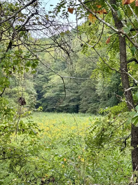 0 S Upper River Rd, Livingston, KY 40445