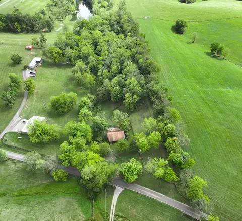 446 Levy Rd, Paris, KY 40361 photo 76