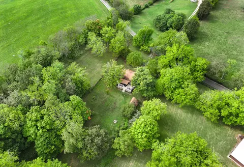 446 Levy Rd, Paris, KY 40361 photo 78