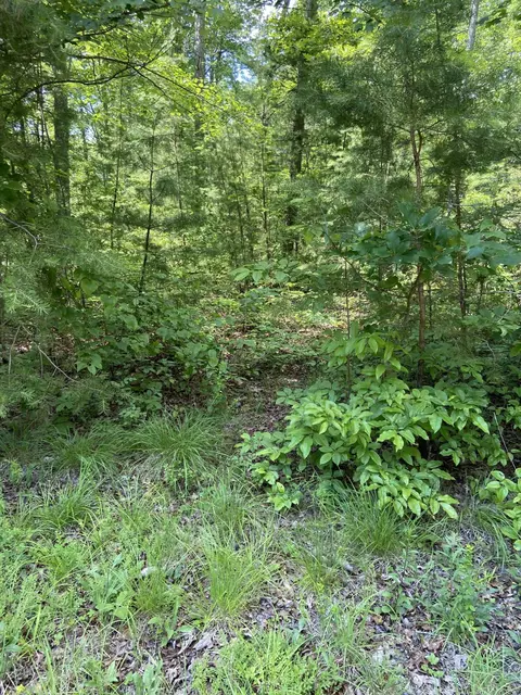 410 Lora Woods Rd, Pine Knot, KY 42635