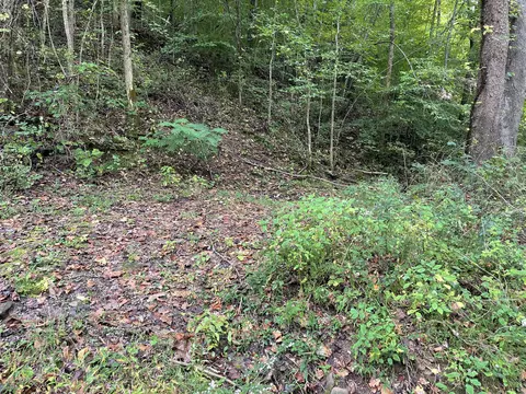 310 Simms Frk, Arjay, KY 40902 photo 5